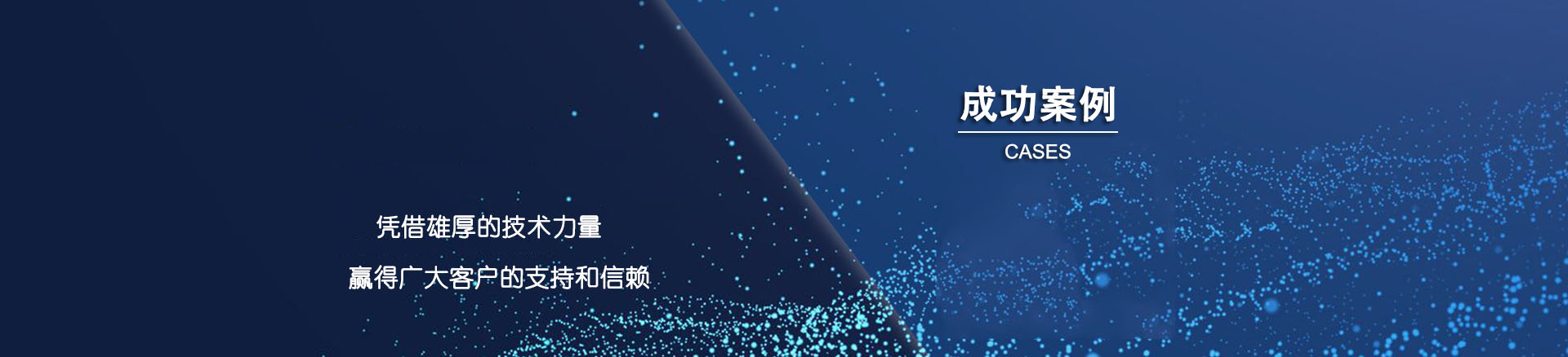 成功案例